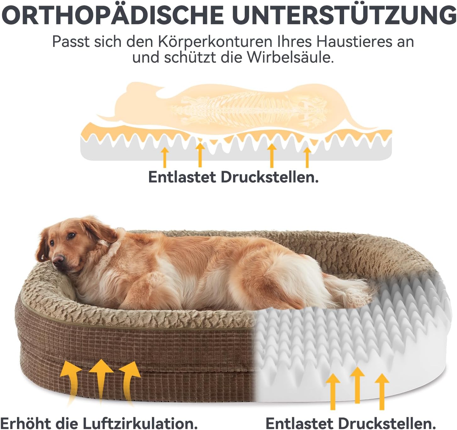 Orthopaedisches Hundebett mit Nackenrolle fuer mittelgrosse Hunde 15cm-19cm