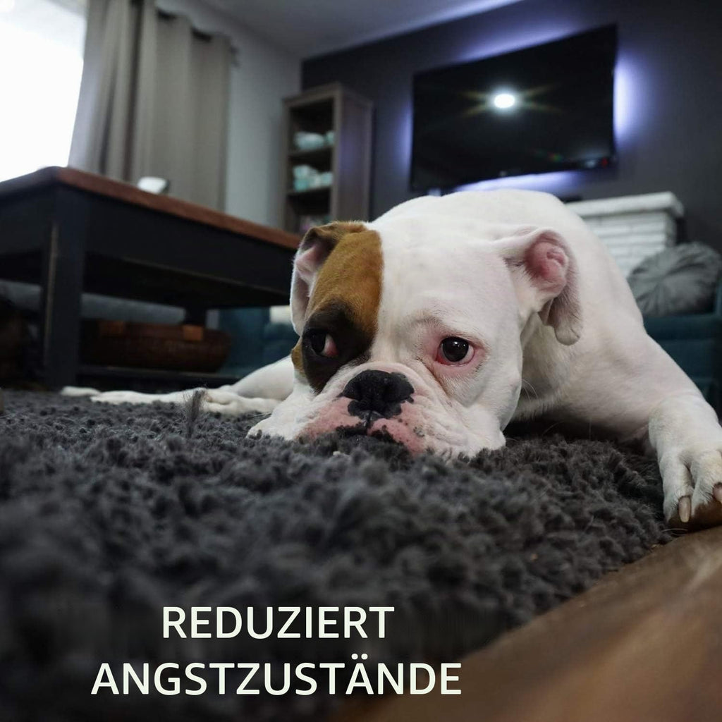 Hundespielzeug Set 7 Teile Kauspielzeug Quietschspielzeug Kuh für Welpen