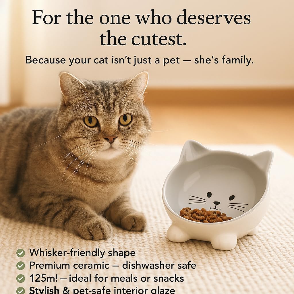 Katzennapf Keramik 125 ml Ø13,8 cm Futterschale Katze Grau