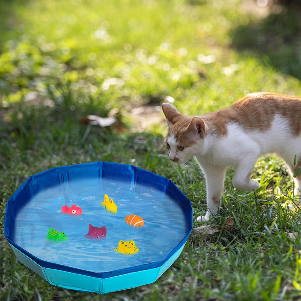 faltbarer Katzenpool 30×10 cm Mini Schwimmbecken mit Spielzeugfischen