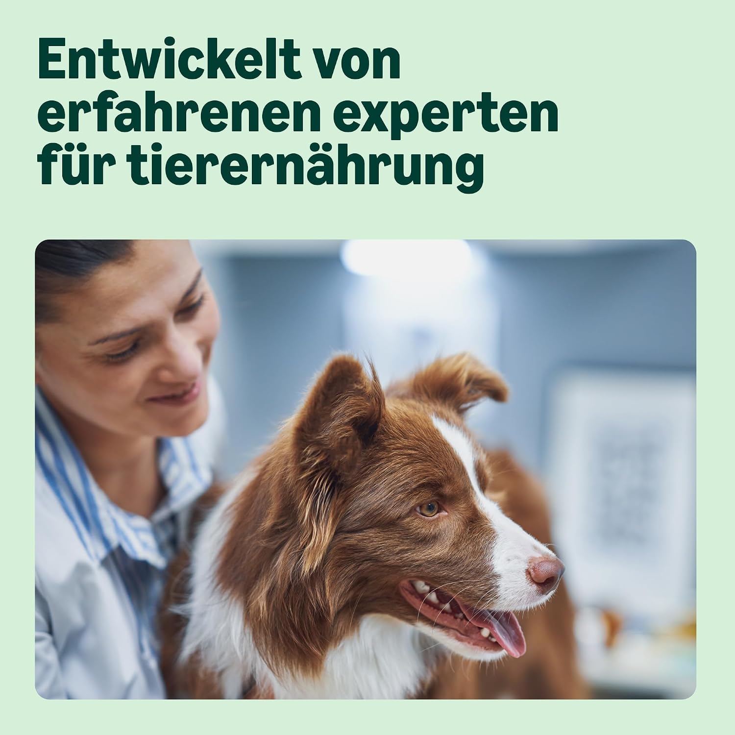 Trockenfutter fuer Hunde 5 Sorten mit Huhn und Lachs verschiedene Geschmacksrichtungen