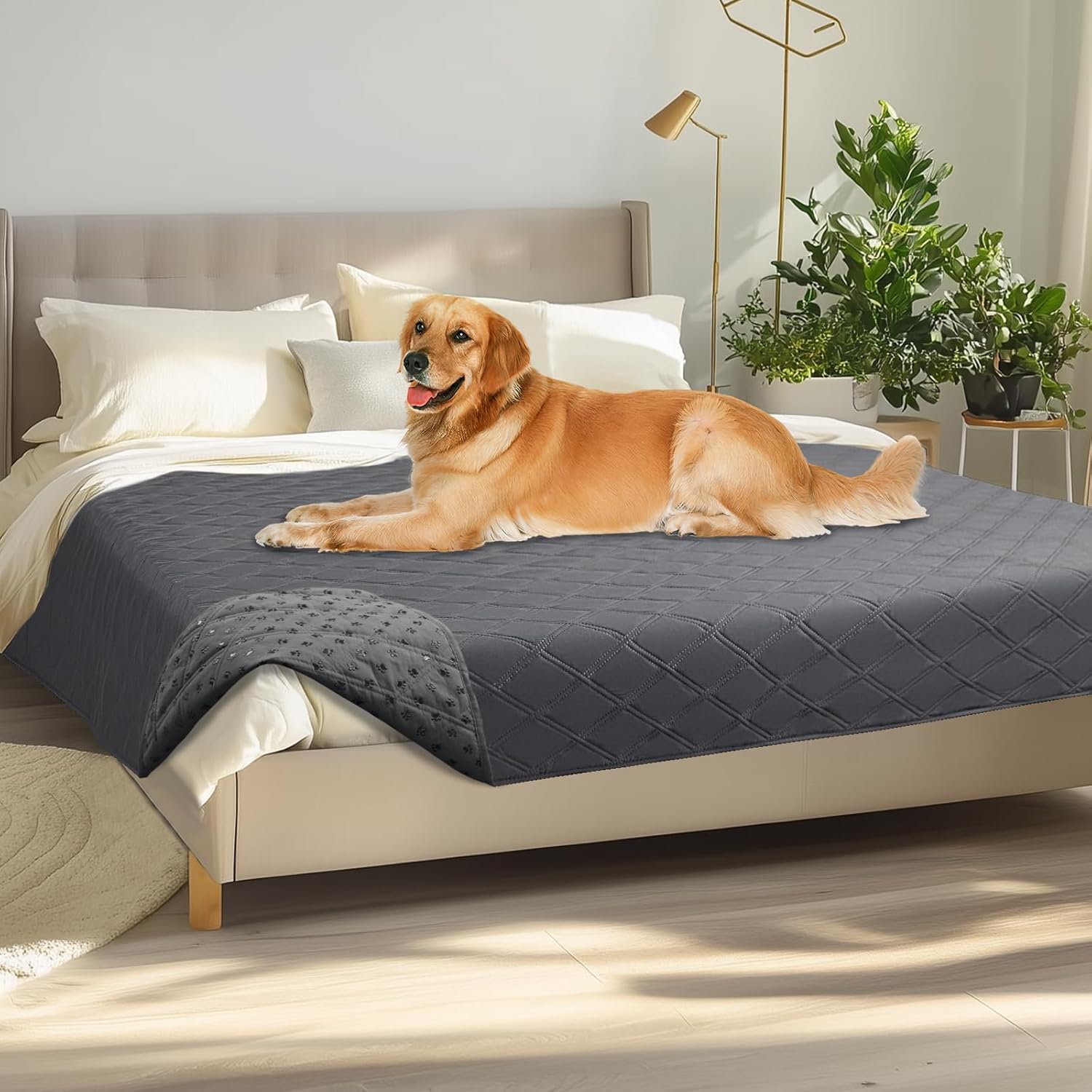 Luciphia Hundedecke wasserdicht rutschfest Grau 76×178 cm 127cm-208cm