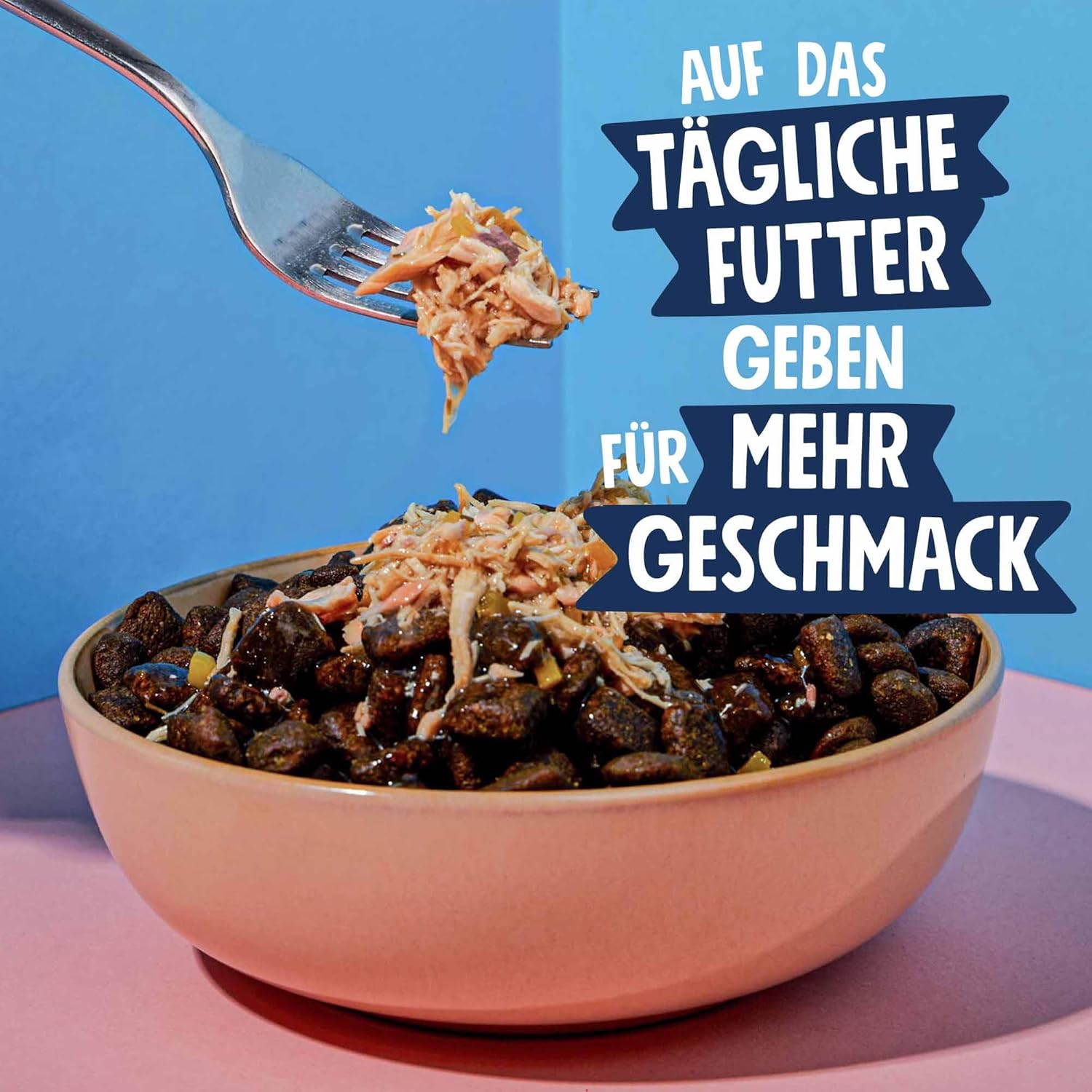 Pets Deli Fancy Filets Hunde Futter-Topping Rind in Sauce 12x70 g verschiedene S