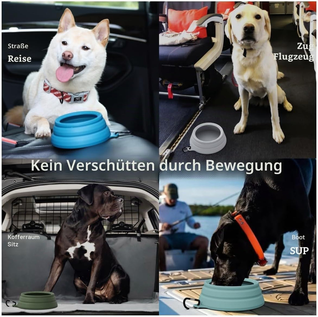 OHMO faltbarer Hundenapf reisefaehig rutschfest breit (Blaugruen)