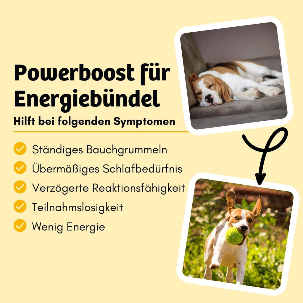 BugBell Trockenfutter Insektenprotein mit Schwarzkuemmeloel Kokosoel Zistrosen
