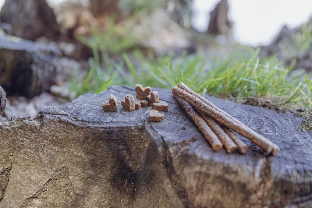 Trixie Hundeleckerli Insekten Snack Sticks mit Mehlwuermern