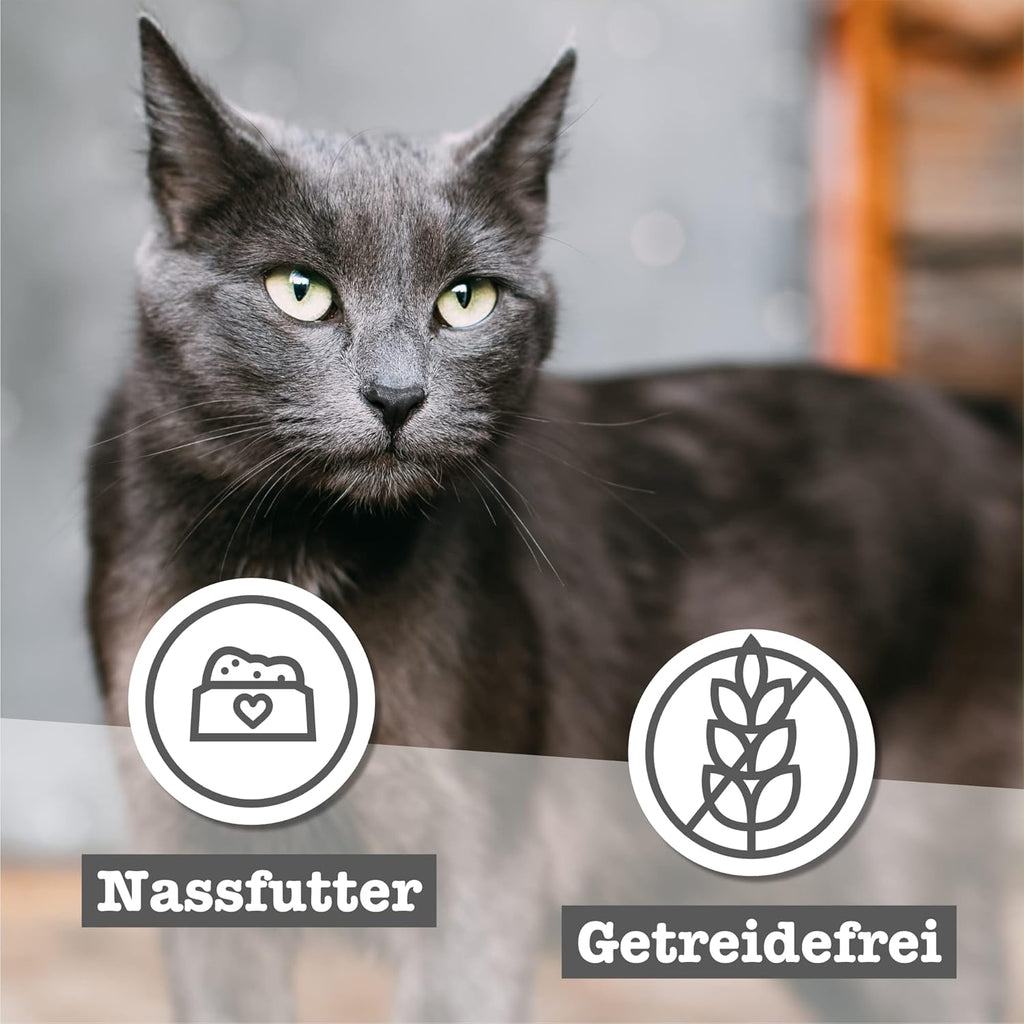 catz finefood Senior Collection Katzenfutter nass 6x200g getreidefrei