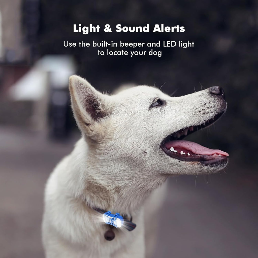 GPS Tracker fuer Hunde 4G wasserdicht mit Echtzeit-Ortung und App Live Tracking