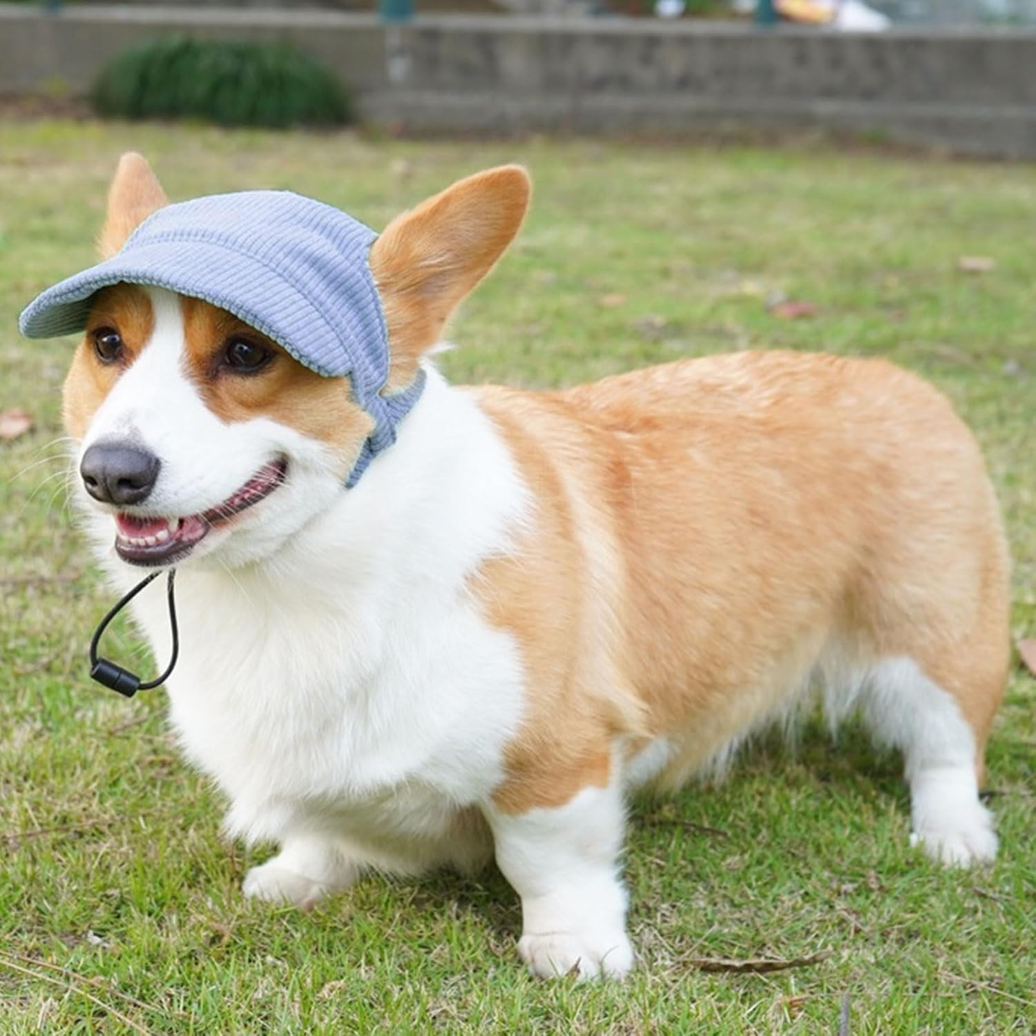 Hunde Baseballmuetze mit Ohrloechern verstellbar S-M Rosa Sonnenschutz