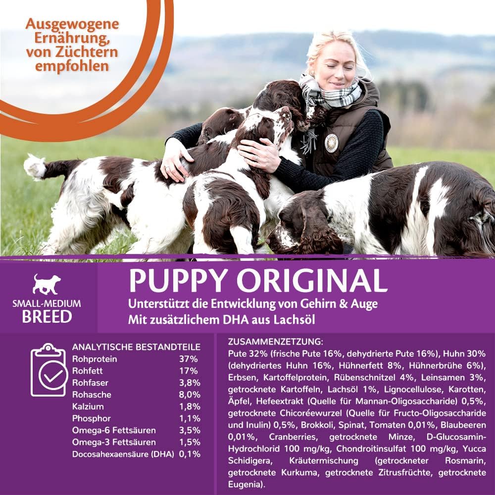 Wellness CORE Hundefutter Nass 6x400g Huhn & Truthahn Pastete