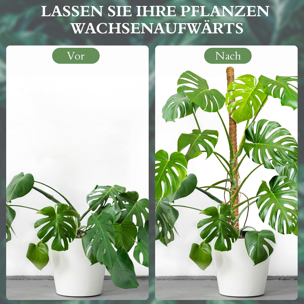Monstera Moosstab 120 cm Kokosfaser biegsame Rankhilfe Pflanzenstuetze