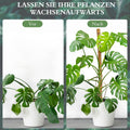 Monstera Moosstab 120 cm Kokosfaser biegsame Rankhilfe Pflanzenstuetze
