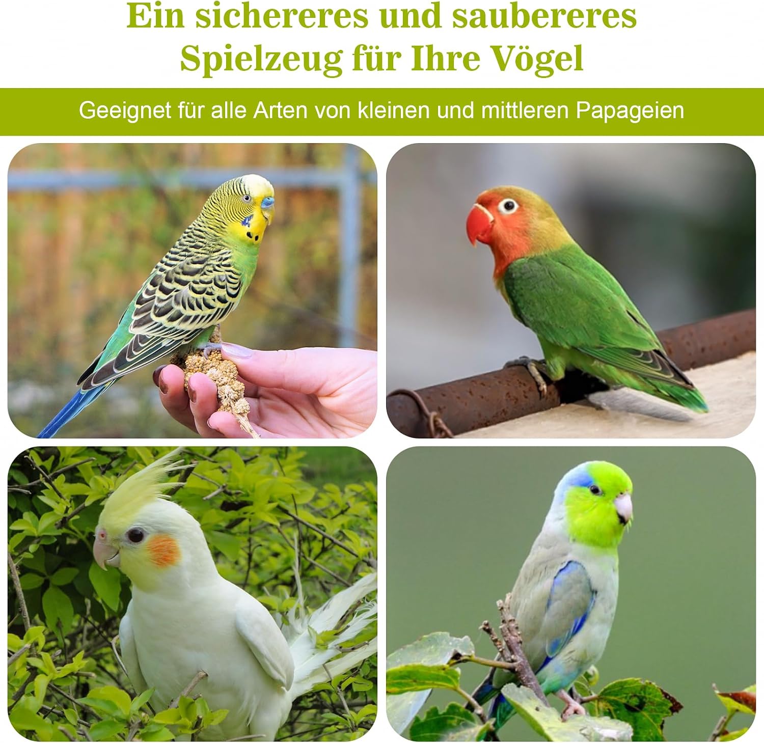 3x Weidenbälle Vogelspielzeug 10cm mit Heu Papagei Wellensittich Kauspiel