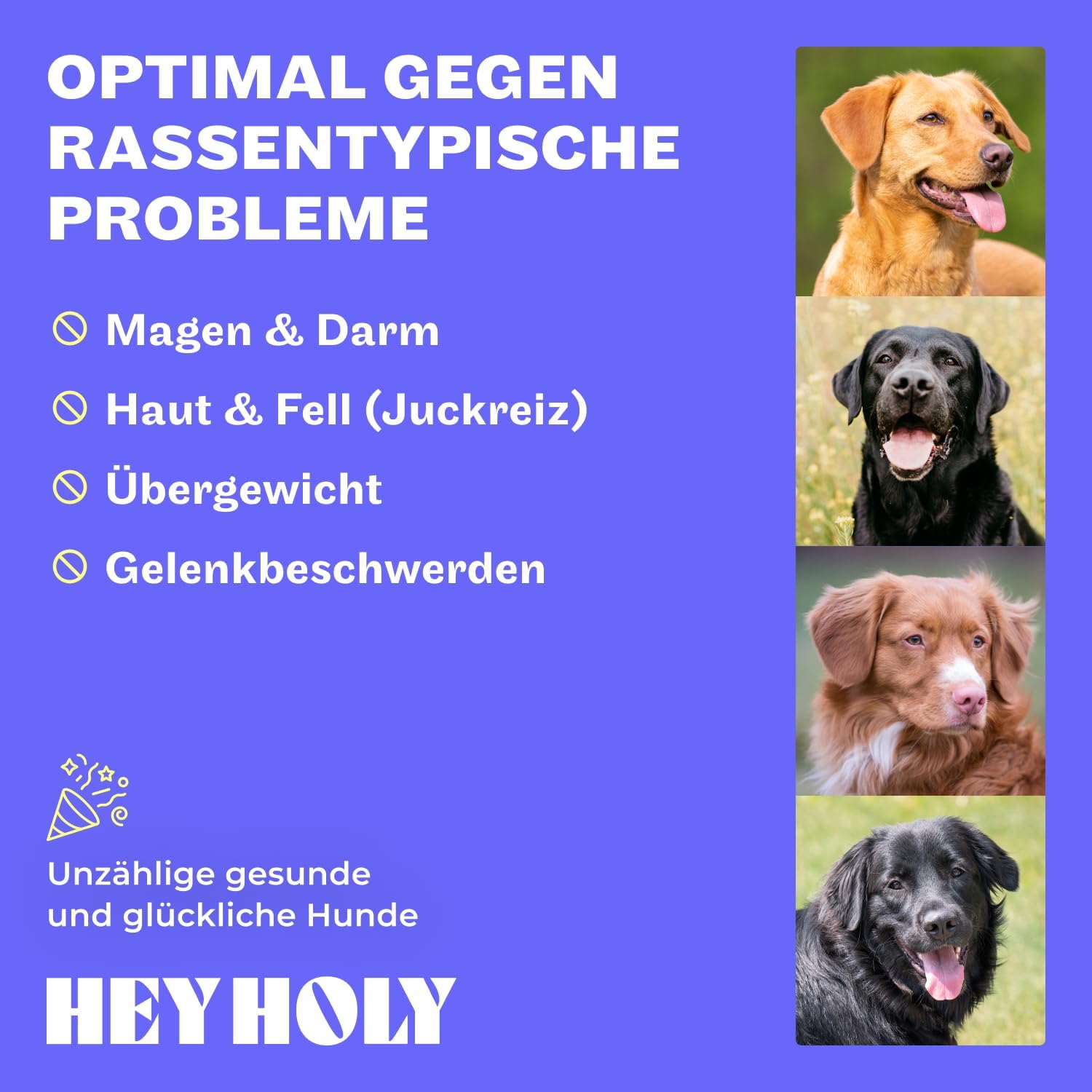 Hey Holy Bulldoggen Trockenfutter getreidefrei hypoallergen mit Lachs