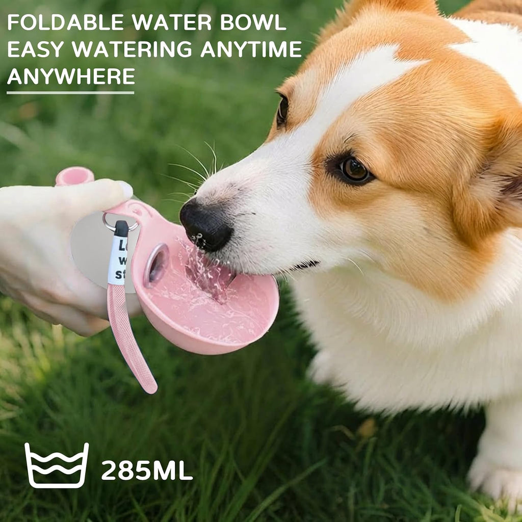 Edelstahl Hundetrinkflasche mit faltbarem Silikonnapf auslaufsicher