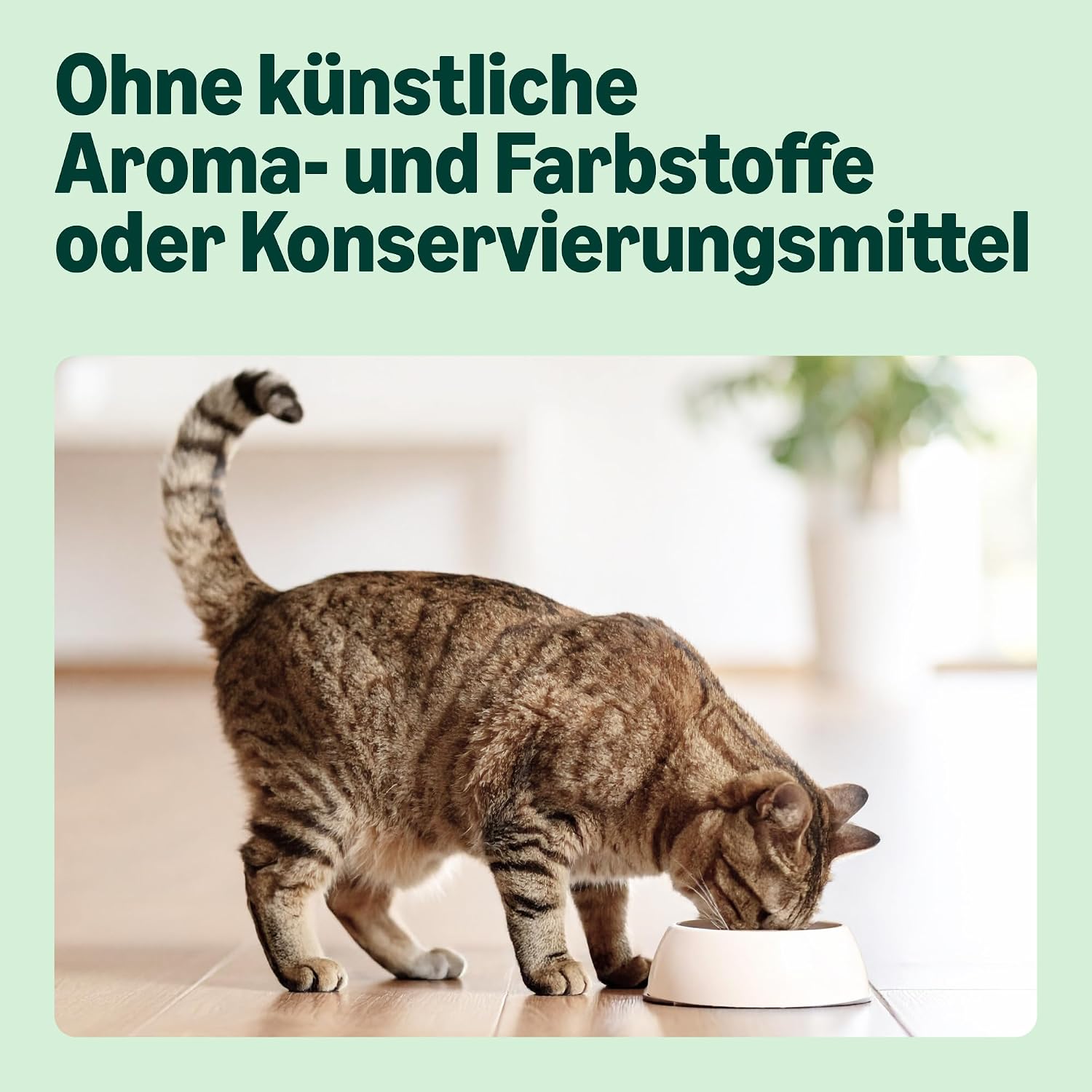 Katzen Trockenfutter Thunfisch 10kg verschiedene Sorten