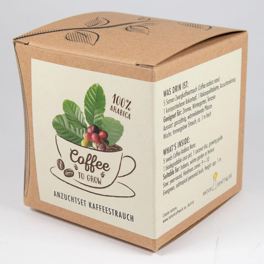 Coffee To Grow Kaffeestrauch Anzuchtset Pflanzset Geschenk