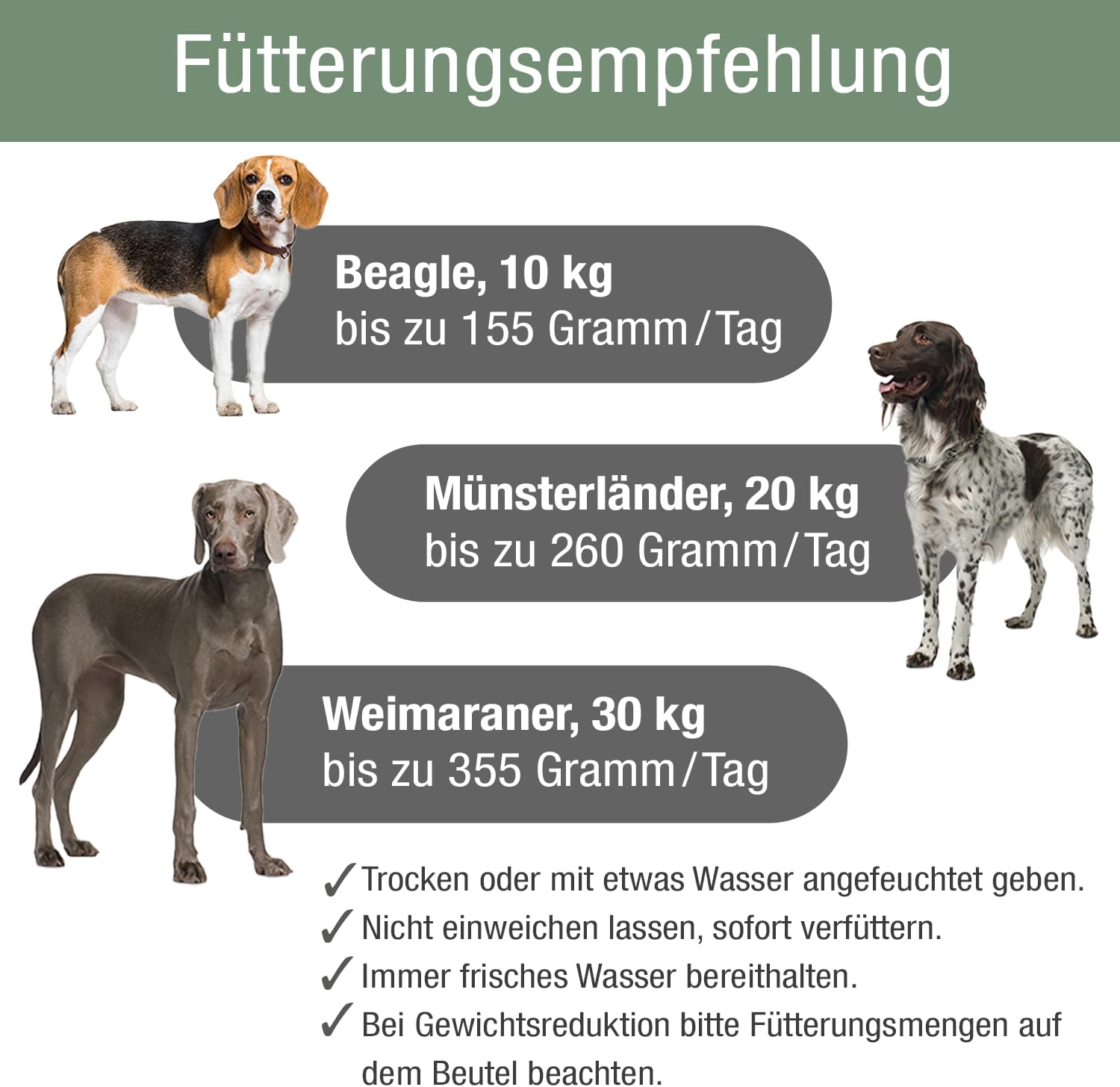 PLATINUM VetActive Light Hundefutter 5 kg fett- und kalorienreduziert