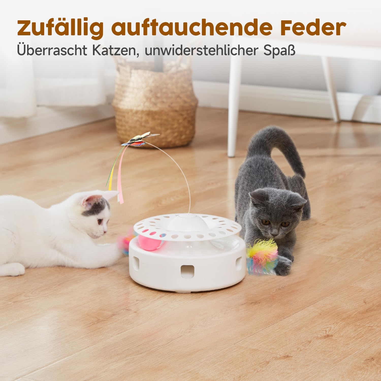 Katzen 3in1 Spielzeug Elektrisch Feder Schmetterling Ballbahn USB
