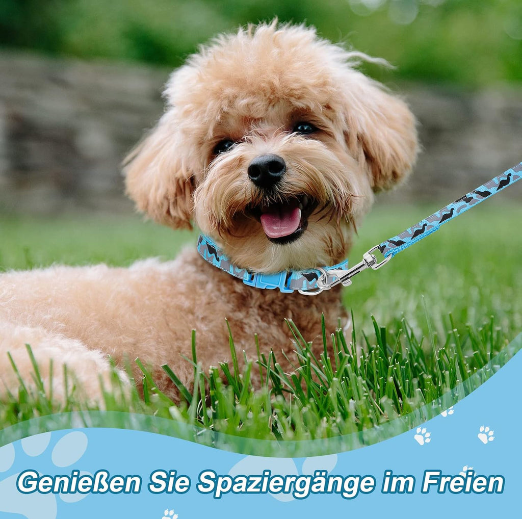 Welpenhalsband mit Leine Set Nylon verstellbar für kleine und mittlere Hunde, 2e