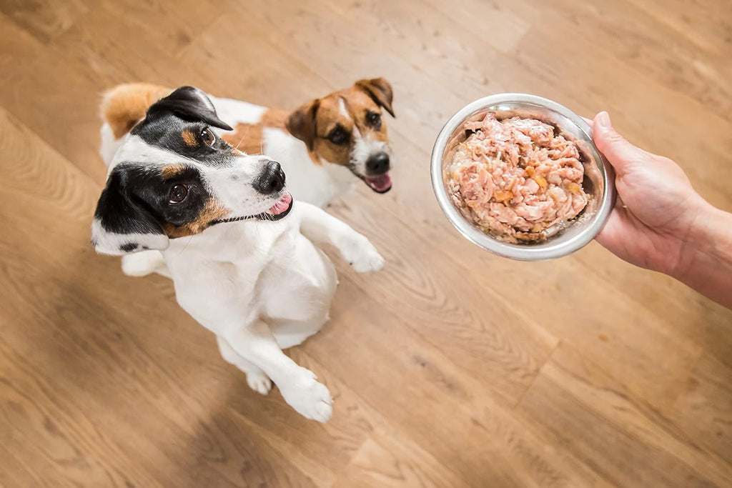 Schesir Dog Hundefutter nass verschiedene Sorten Huehnerfilet mit Lamm 6x4x85g