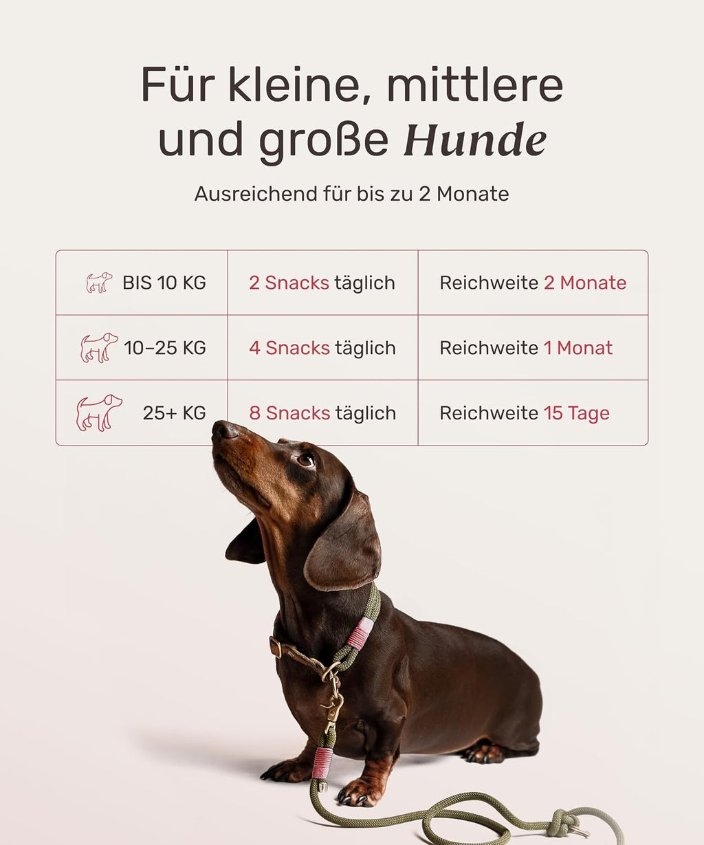 mammaly Lucky Belly Probiotika Hundeleckerlis fuer Magen und Darm
