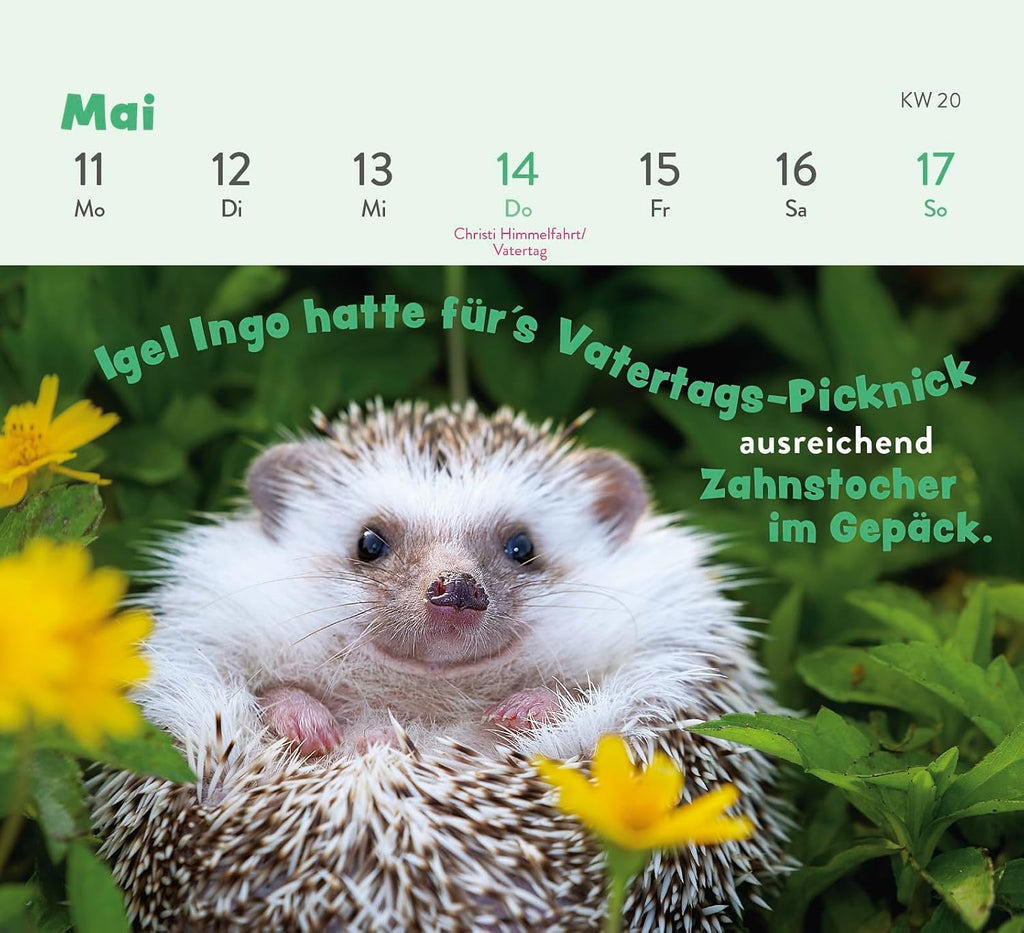 Mini Wochenkalender 2026 Tischkalender Tierisch Gechillt mit Tierfotos
