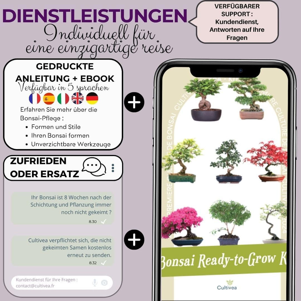 Japanese Maple Bonsai Starter Set Anzuchtset Komplett Bonsai-Set