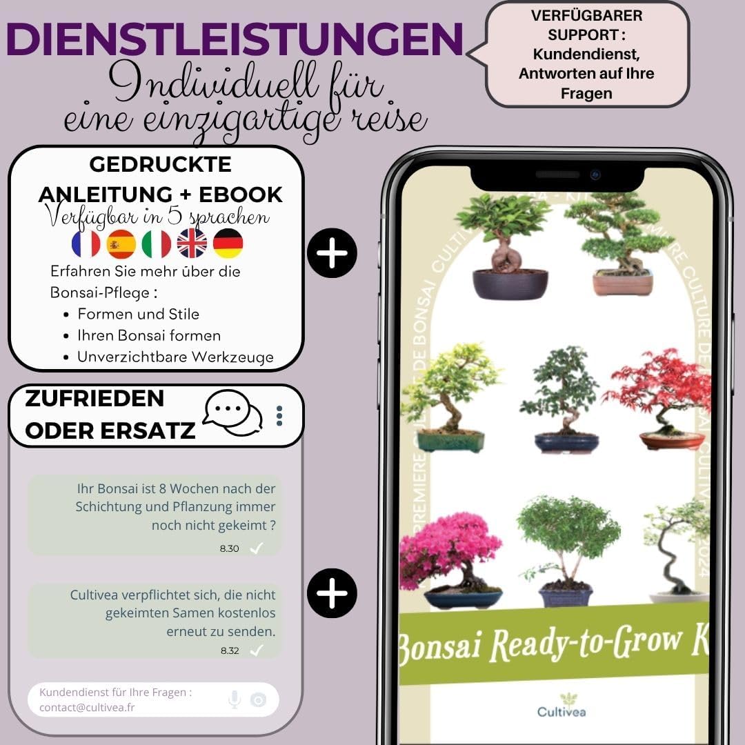 Japanese Maple Bonsai Starter Set Anzuchtset Komplett Bonsai-Set