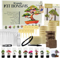 Bonsai Anzuchtset mit Samen fuer 10 Baeume - Komplettes Starter Kit
