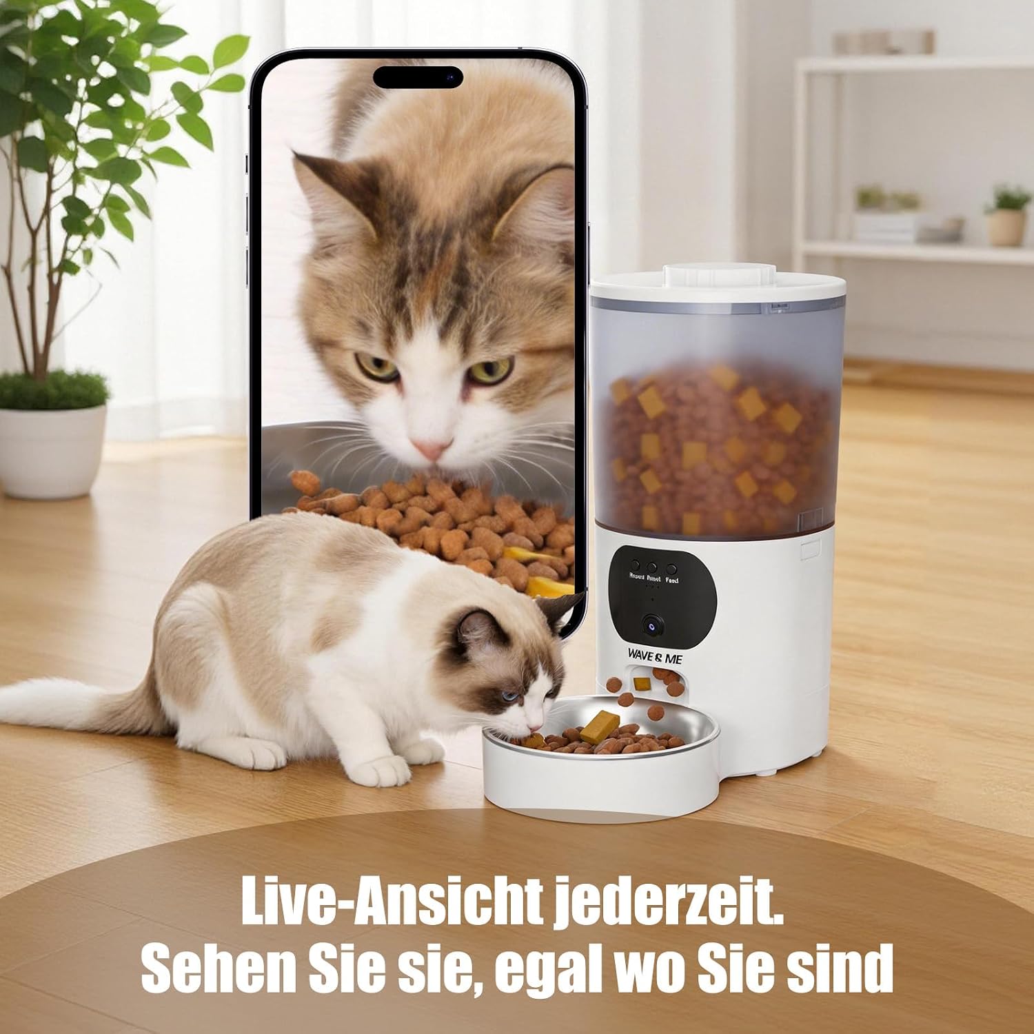 Futterautomat fuer Katzen und Hunde mit App Steuerung und Sprachaufnahme