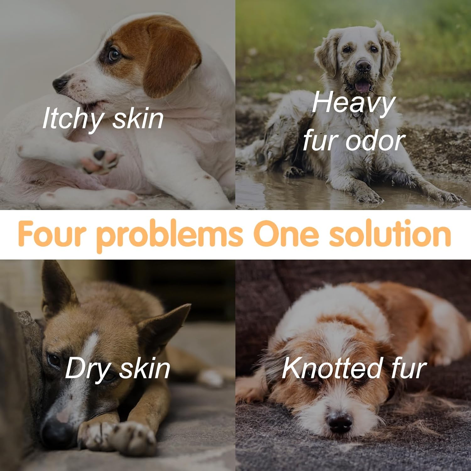 Nobleza Hundeshampoo gegen Juckreiz Milben Pilz Floh, sensitive, verschied