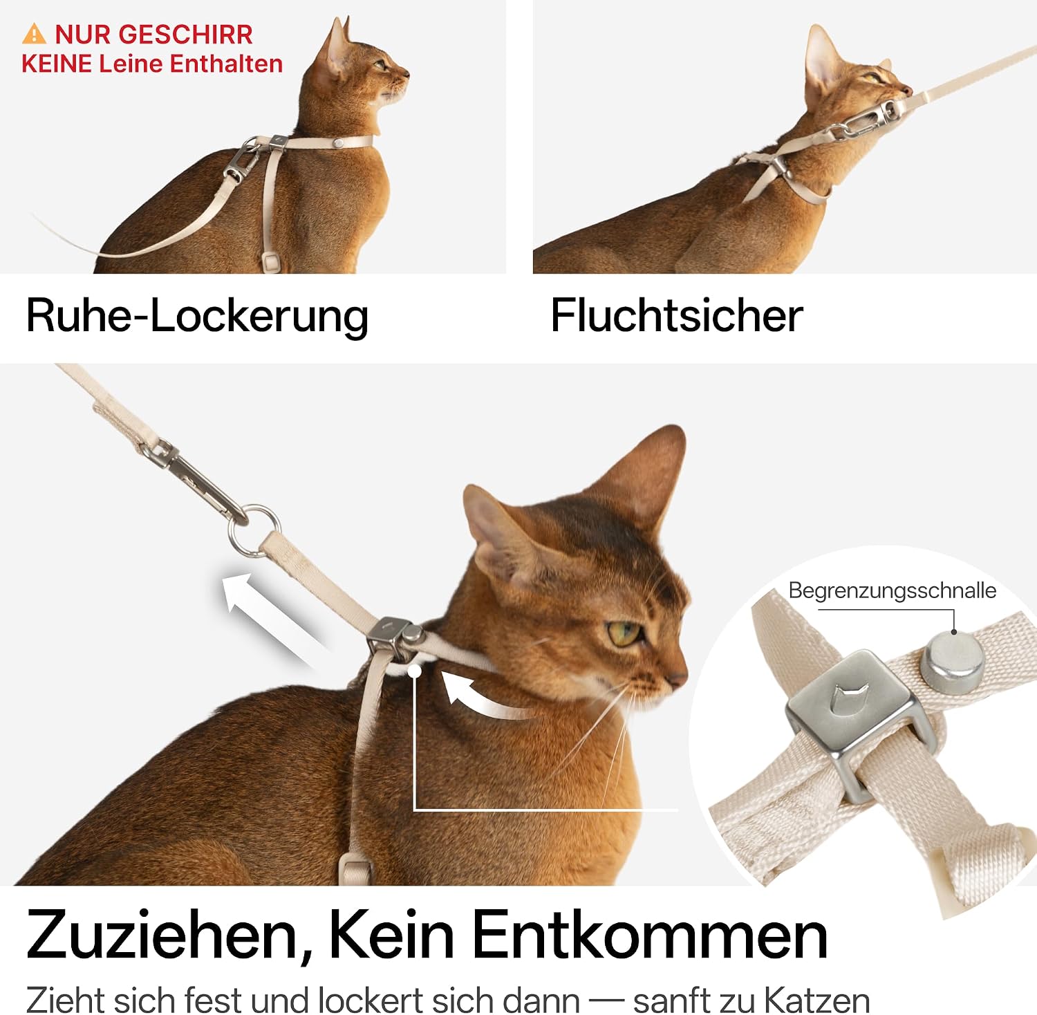 Katzengeschirr verstellbar Groesse S-M weich 8‑Form mit QR‑Code Schnellverschluss