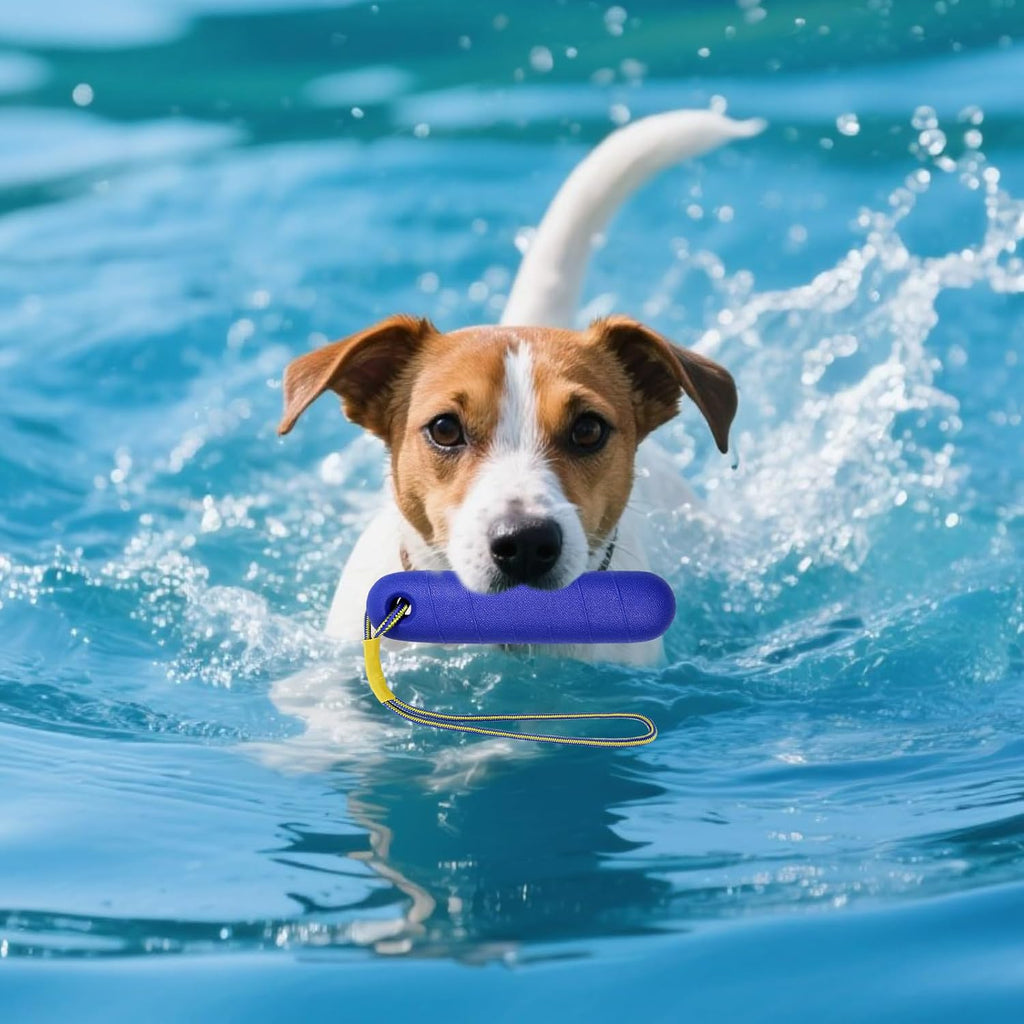 Hundespielzeug 22 cm Schwimmend mit Nylonseil fuer Mittelgrosse bis Grosse Hunde Ap