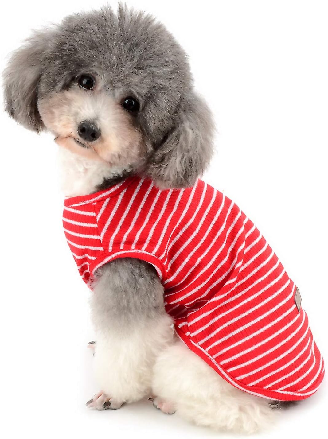 Zunea Hundeshirt Uebergangstanktop gestreift grau Baumwolle Chihuahua S-XXL