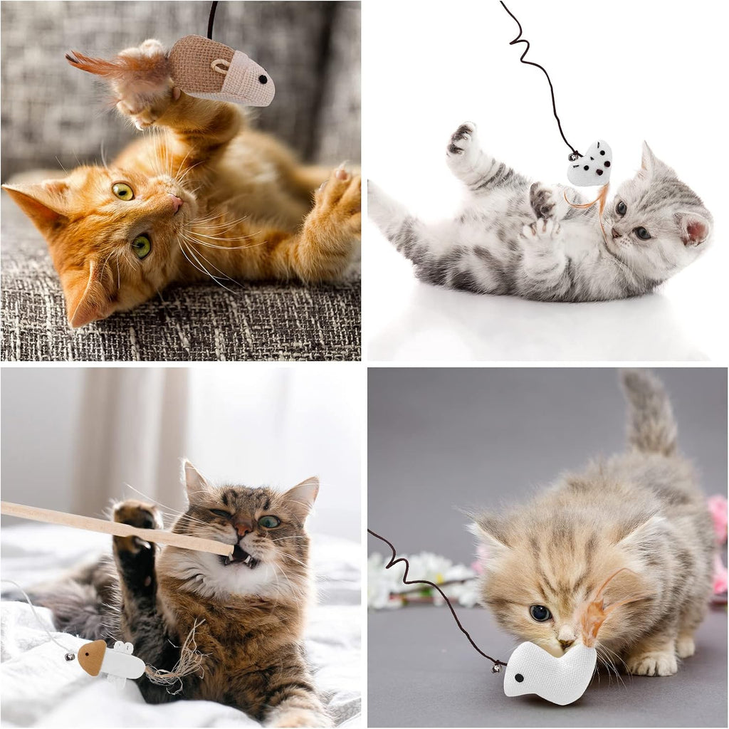 4x Katzenangel Spielzeug Feder Maus Fisch Vogel Set
