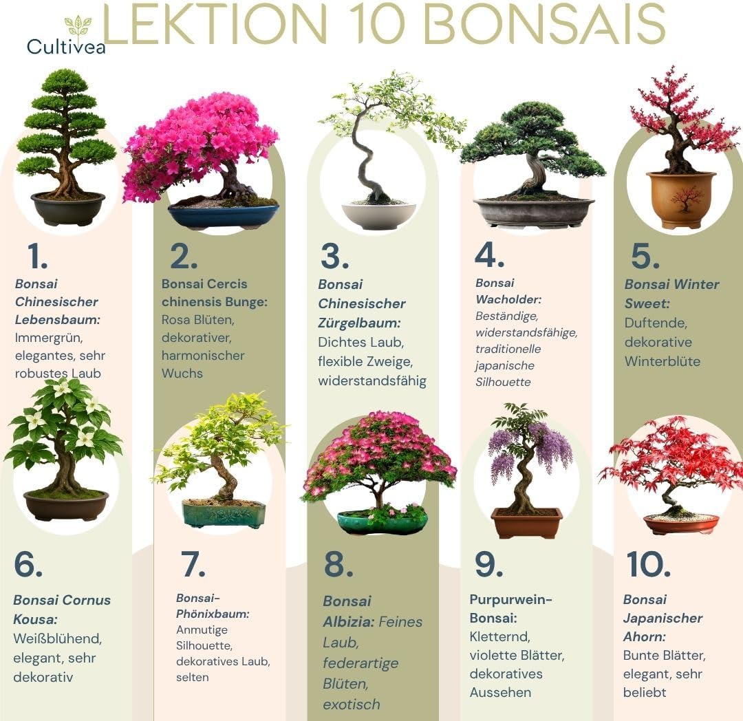 Bonsai Anzuchtset mit Samen fuer 10 Baeume - Komplettes Starter Kit