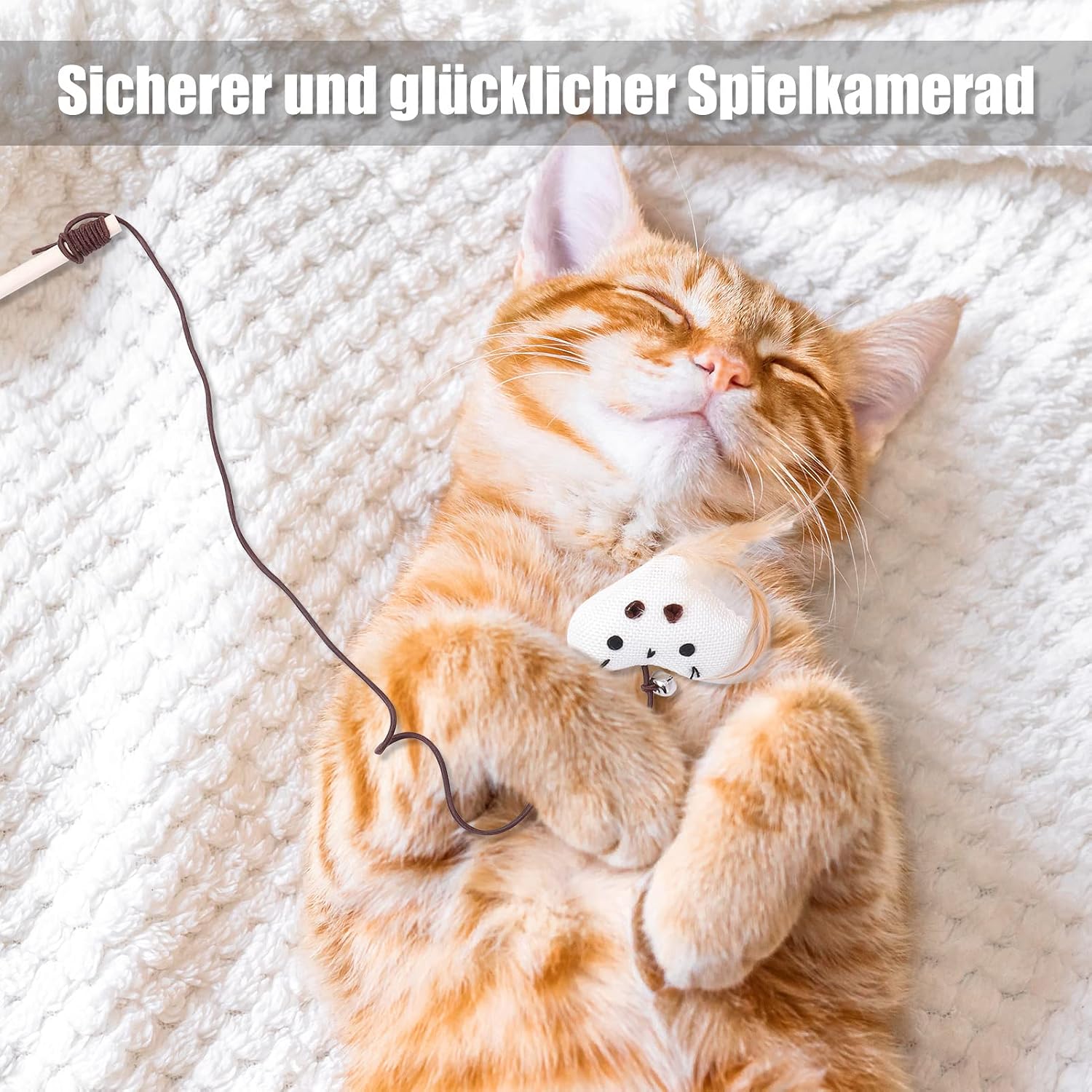 4x Katzenangel Spielzeug Feder Maus Fisch Vogel Set