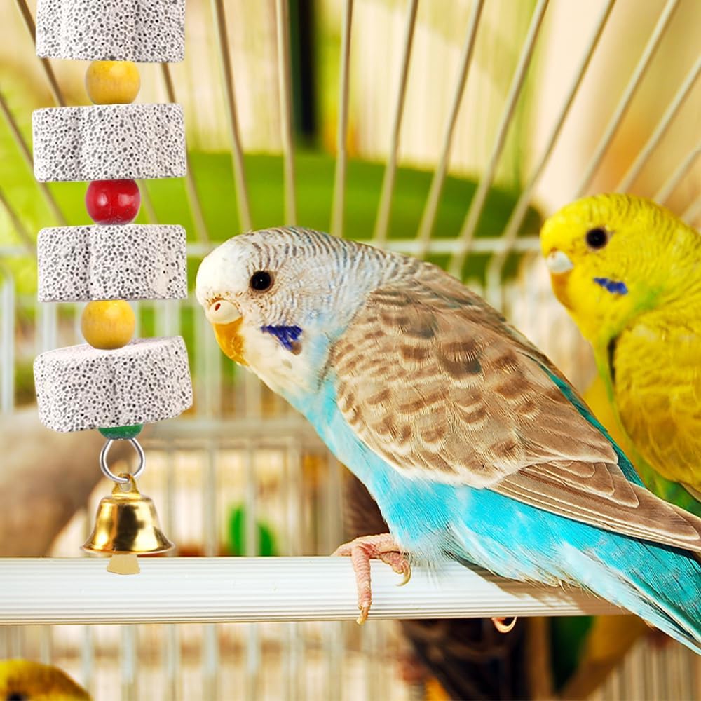 Vogel Kauspielzeug Schnabel Schleifstein mit Glocke für Papagei Wellensittich