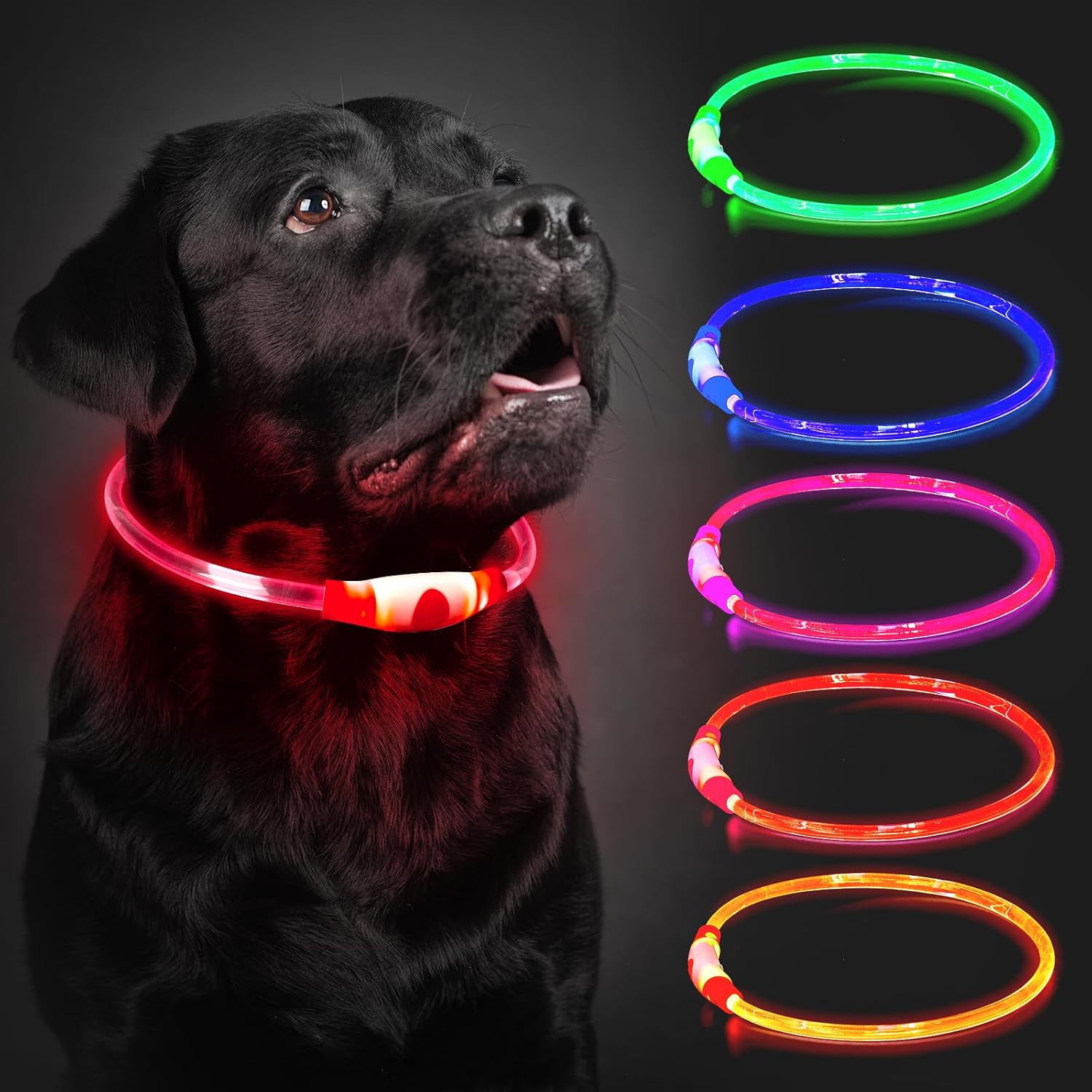 Leuchthalsband Hund LED aufladbar 70 cm wasserdicht 3 Lichtmodi Blau