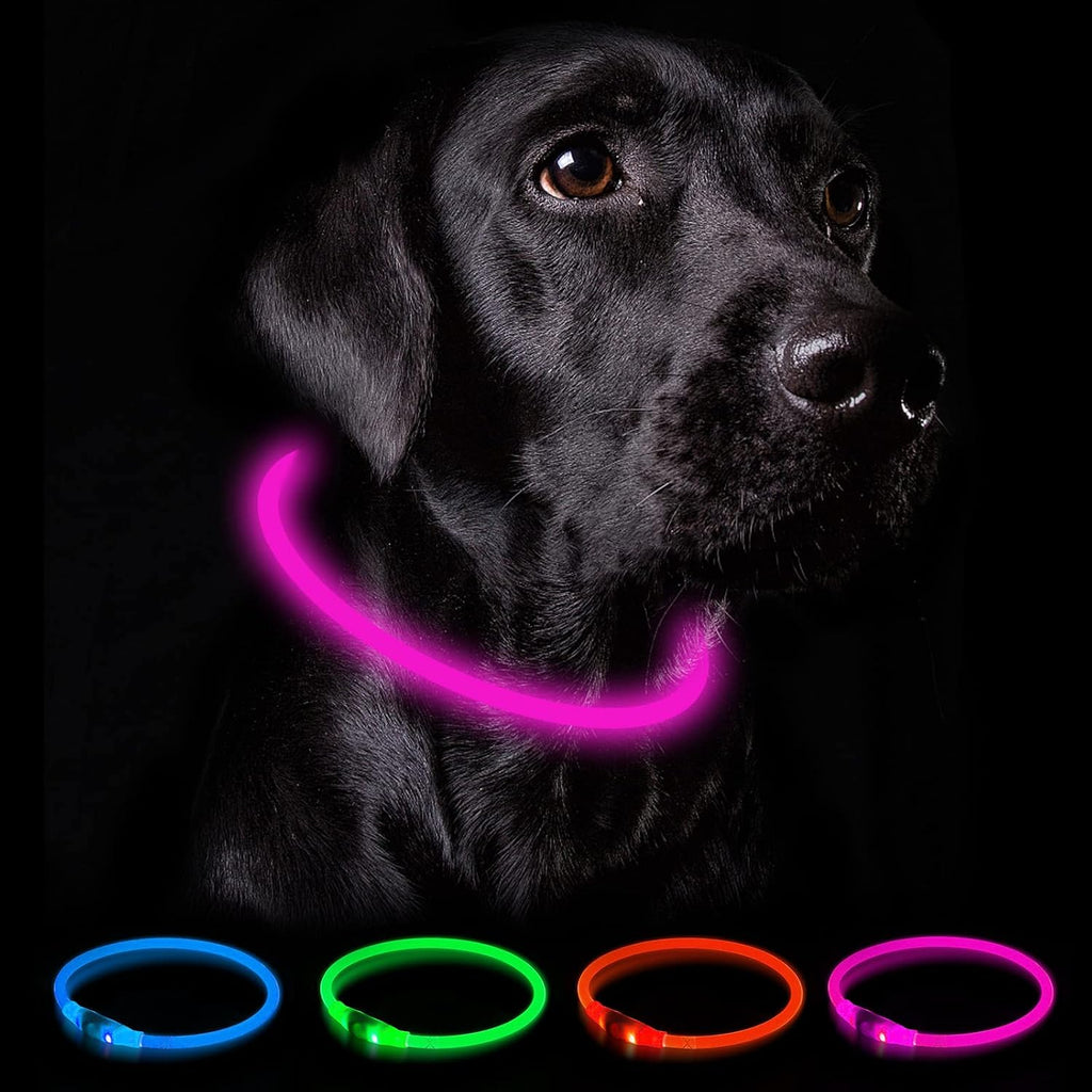 Nepfaivy LED Leuchthalsband Hund USB aufladbar wasserdicht 3 Modi Gruen