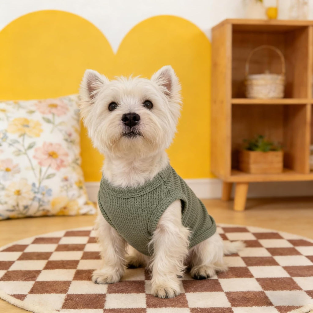 Hundekleidung Hundeweste Tank Top atmungsaktiv leicht OP-Body Chihuahua M Gruen
