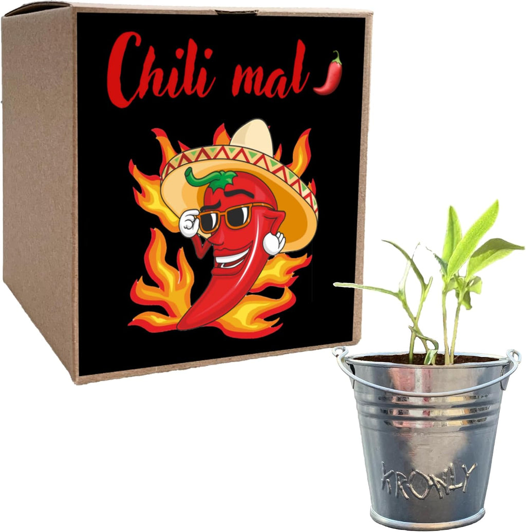 Chili Anzuchtset mit Samen und Pflanzanleitung Geschenk fuer Herren