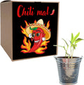 Chili Anzuchtset mit Samen und Pflanzanleitung Geschenk fuer Herren