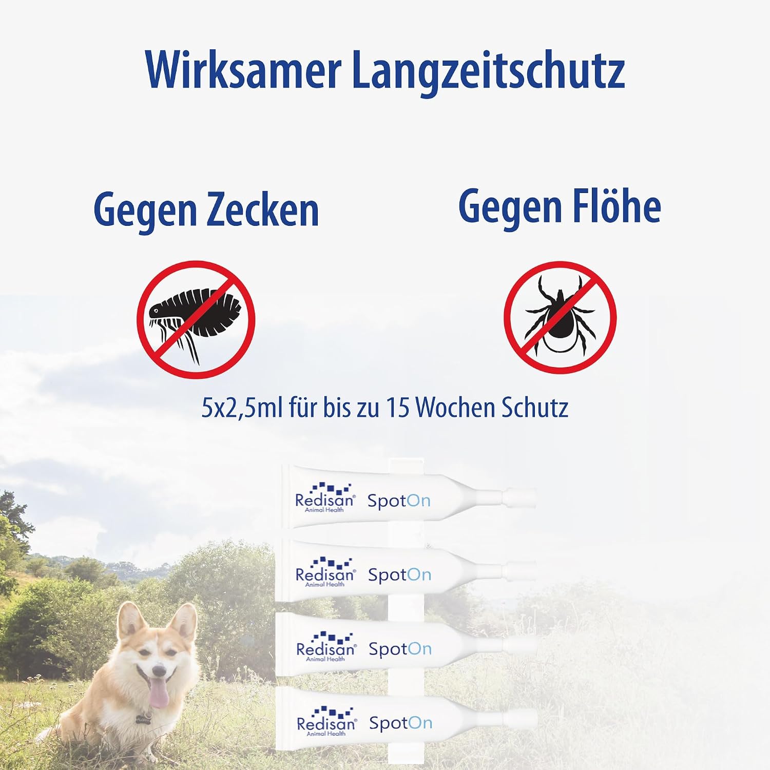 Spot on Hund pflanzenbasiertes Zeckenmittel bis 15 Wochen Schutz ohne Chemie