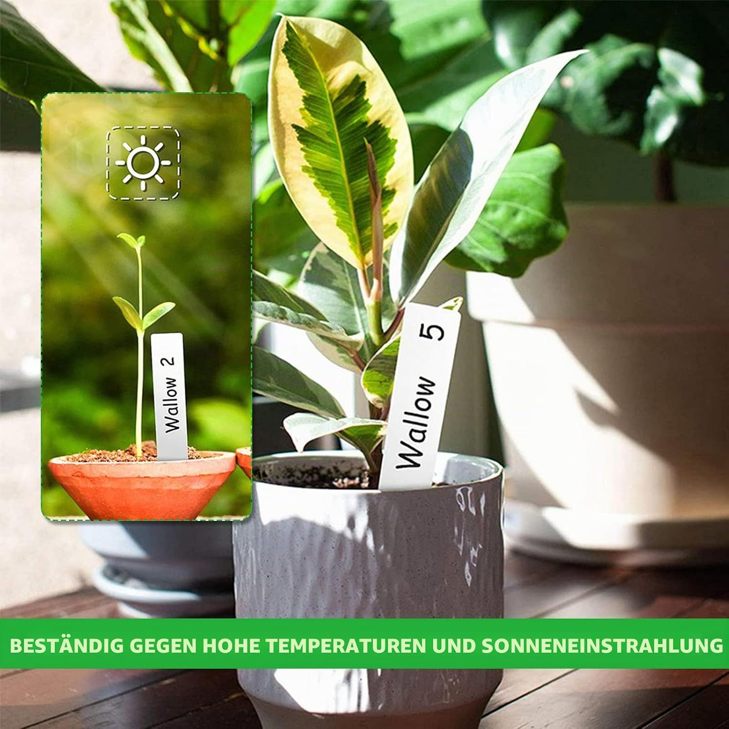 200er Set Pflanzenschilder Kunststoff 10x2 cm wetterfest Pflanzenstecker