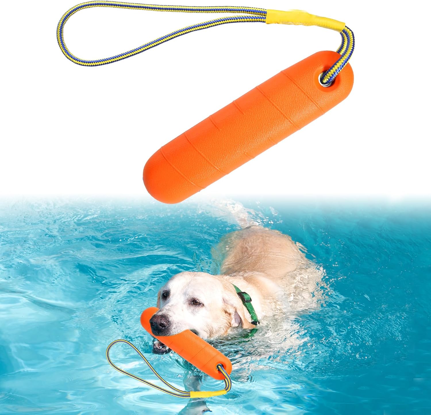 DUTIFUL Hundespielzeug Wasserspielzeug schwimmend mit Nylonseil Gr. Mittel/Gross