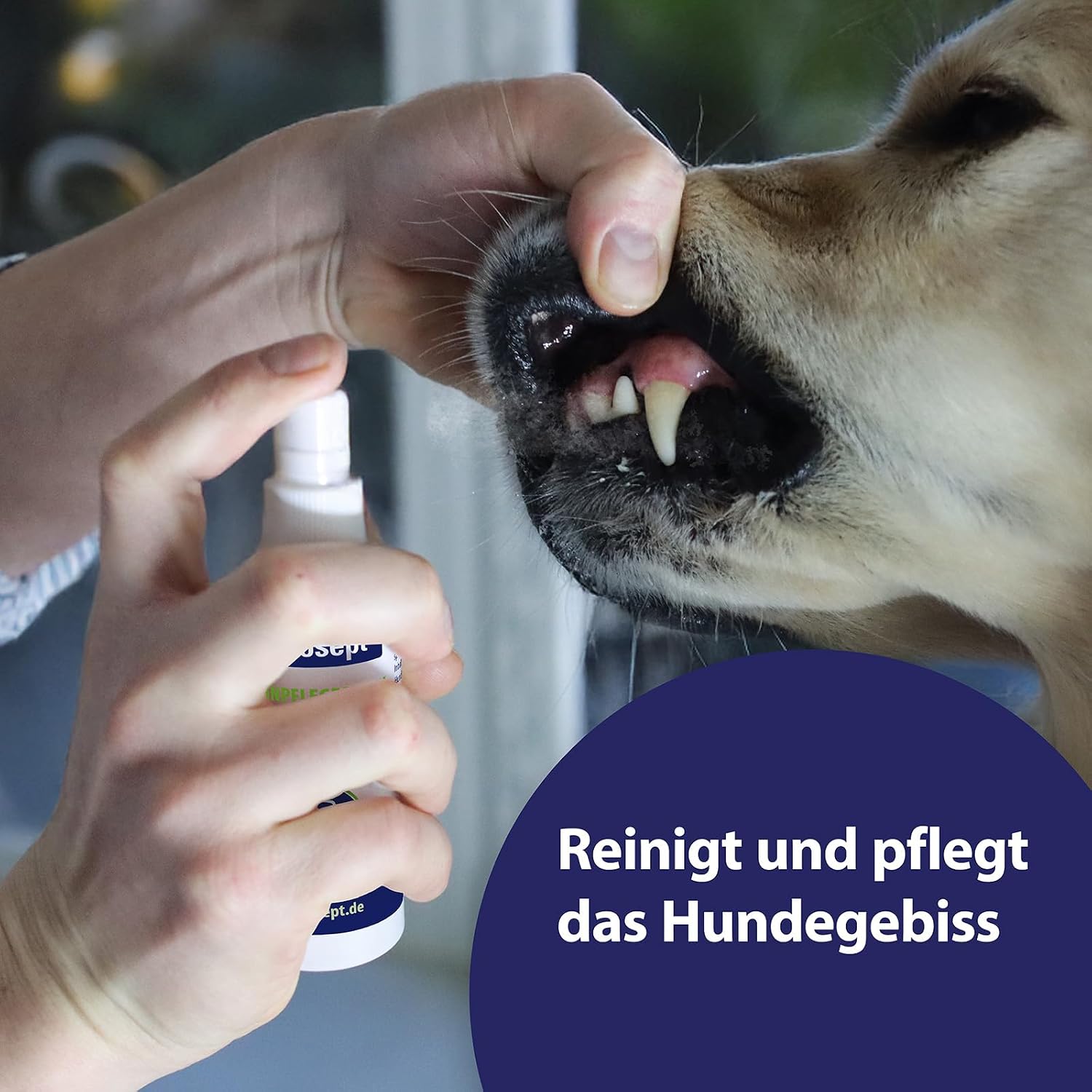 Canosept Zahnpflegespray für Hunde gegen Zahnstein und Mundgeruch
