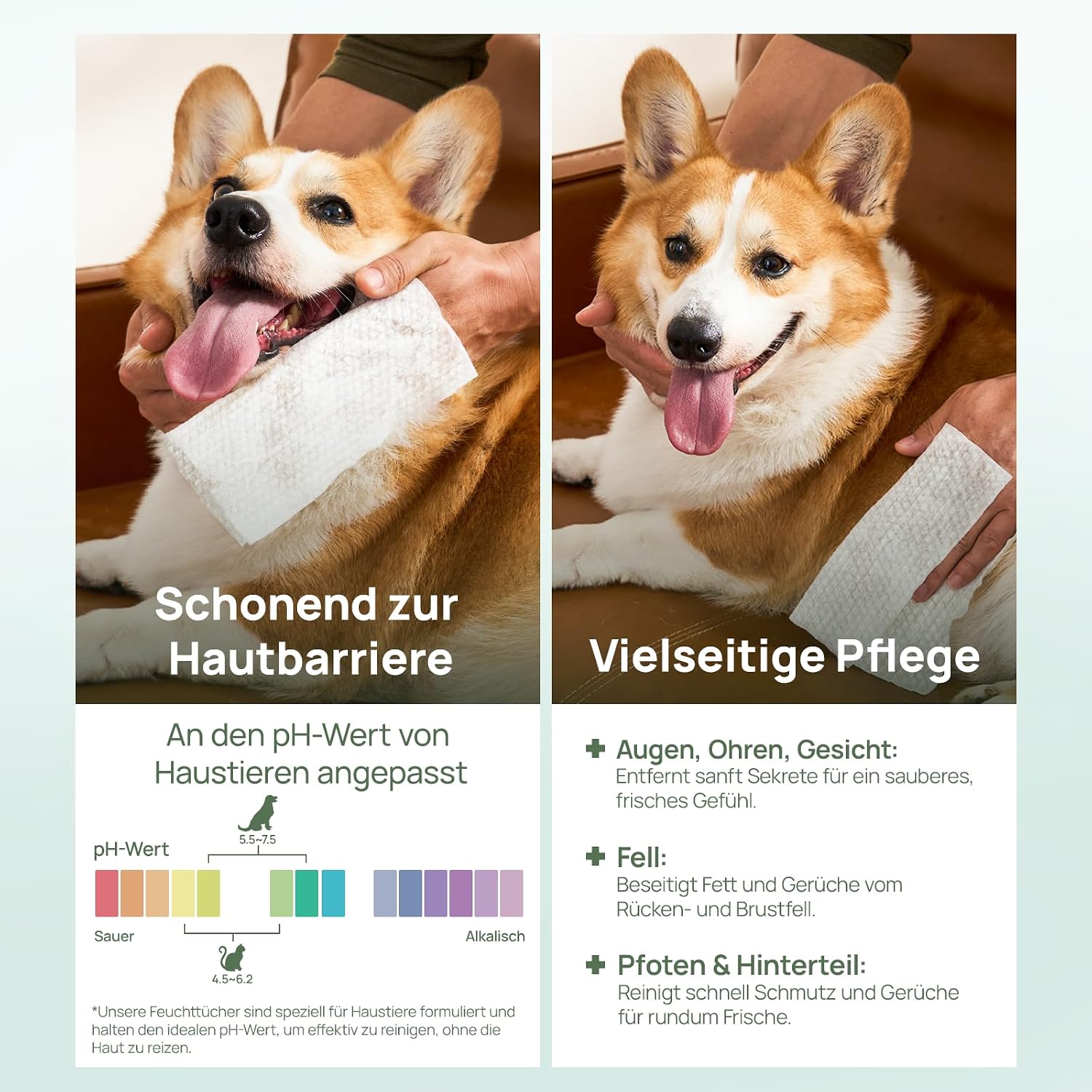 HICC PET Feuchttuecher fuer Hunde und Katzen 100 Stueck mit Kokosoel fuer Pfoten und Gesicht