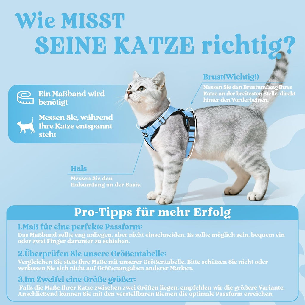 rabbitgoo Katzenweste Geschirr ausbruchsicher verstellbar XS Hellblau mit Leine
